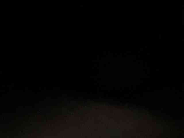 Rainie webcam