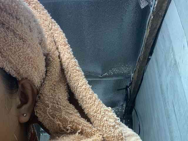 Rainie webcam