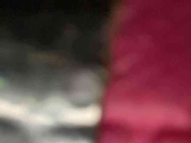 Rainie webcam