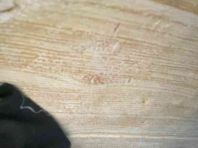 Rainie