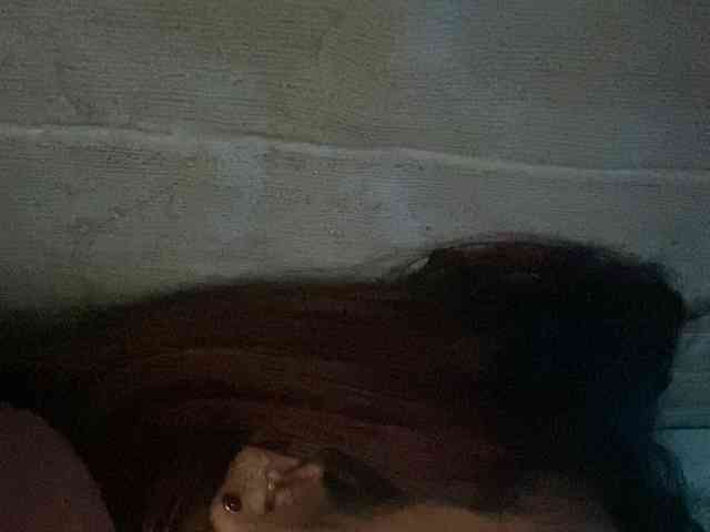 Rainie webcam