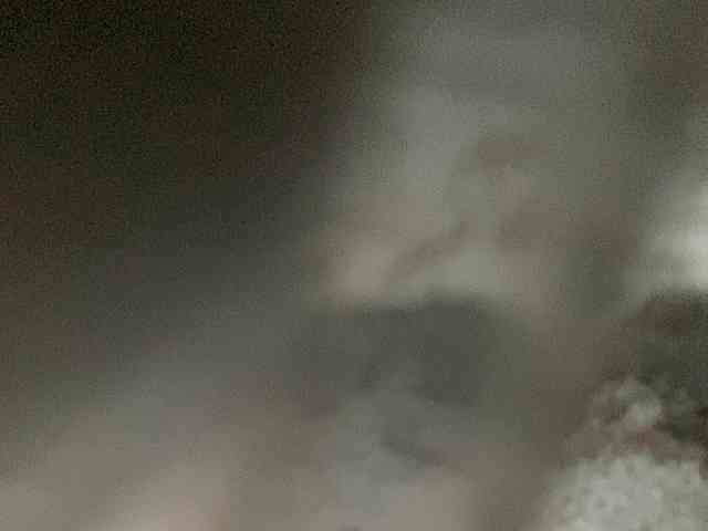 Rainie