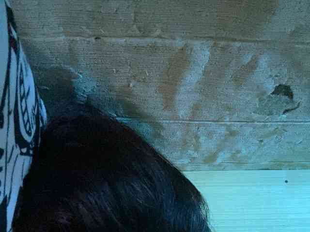Rainie webcam