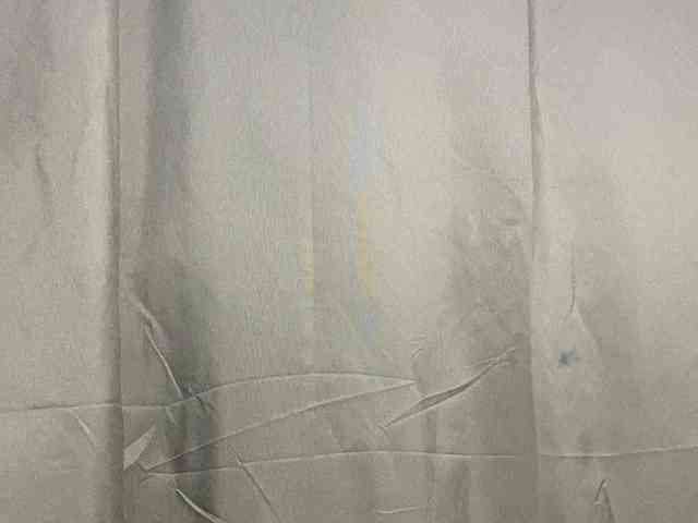 Rainie