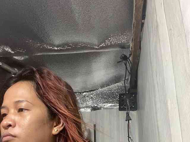 Rainie webcam