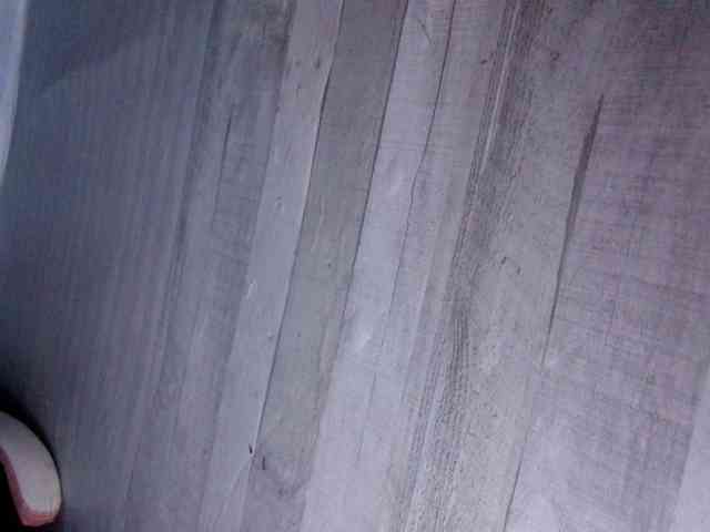 Rainie webcam