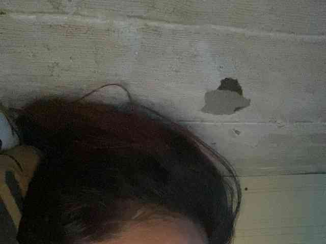 Rainie webcam