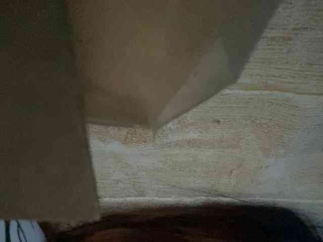 Rainie webcam