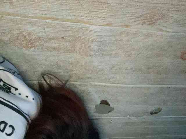Rainie