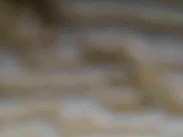 Rainie webcam