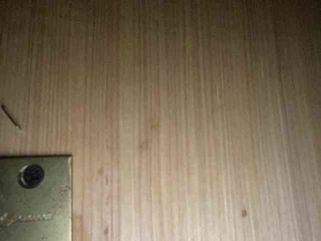 Rainie webcam