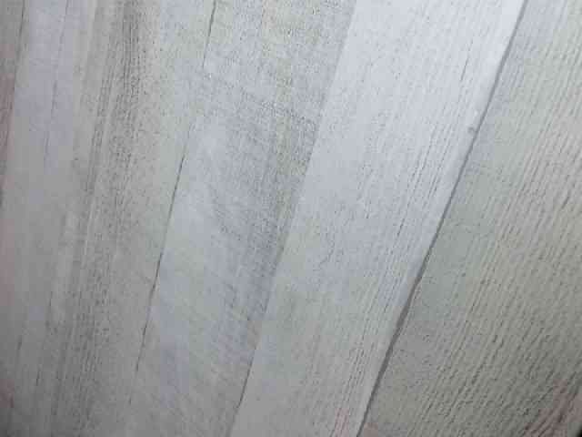Rainie webcam