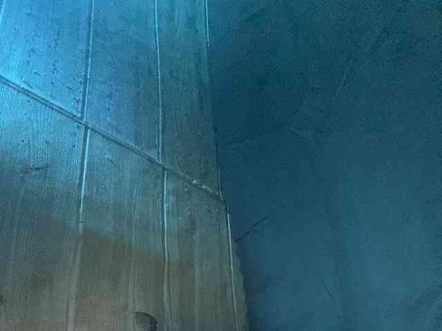 Rainie webcam