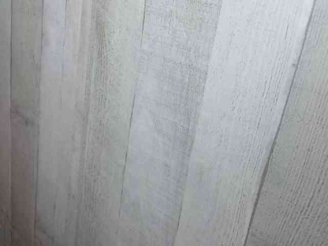 Rainie webcam