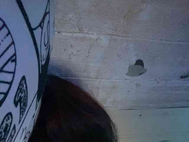 Rainie