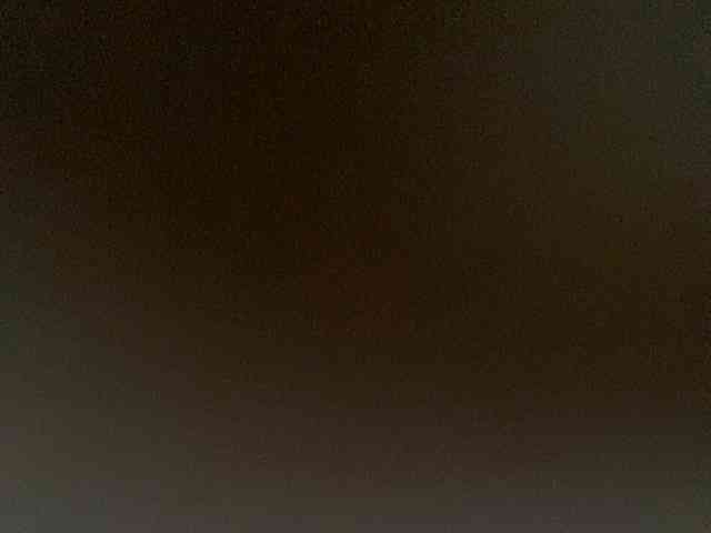 Rainie webcam