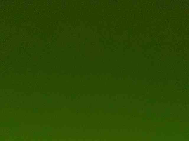 Rainie webcam
