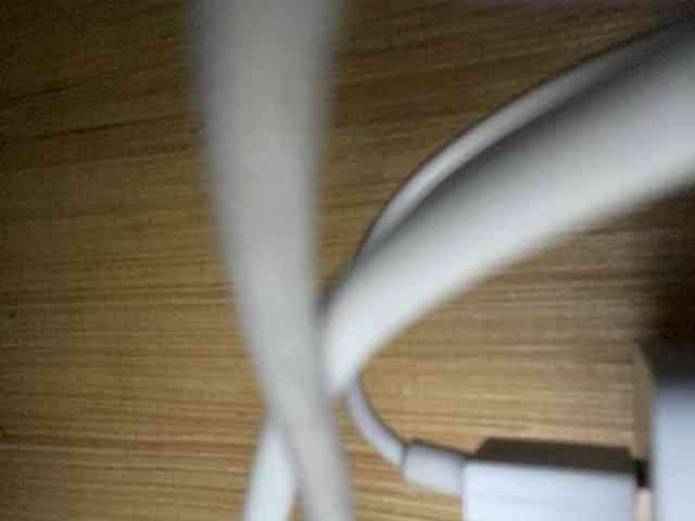 Rainie webcam