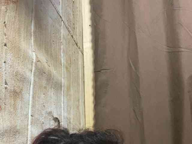 Rainie webcam