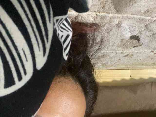 Rainie webcam