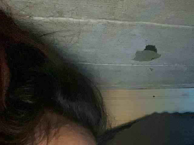 Rainie