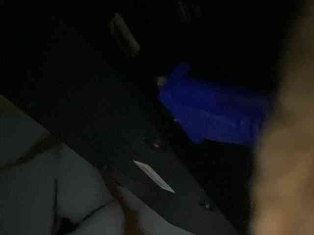 Rainie webcam