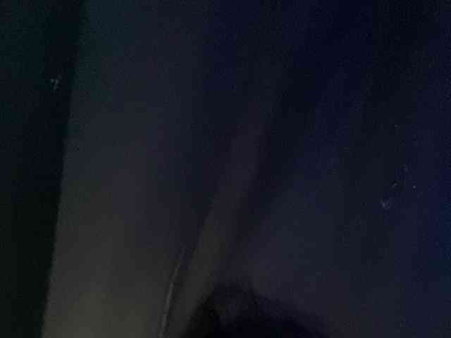 Rainie webcam