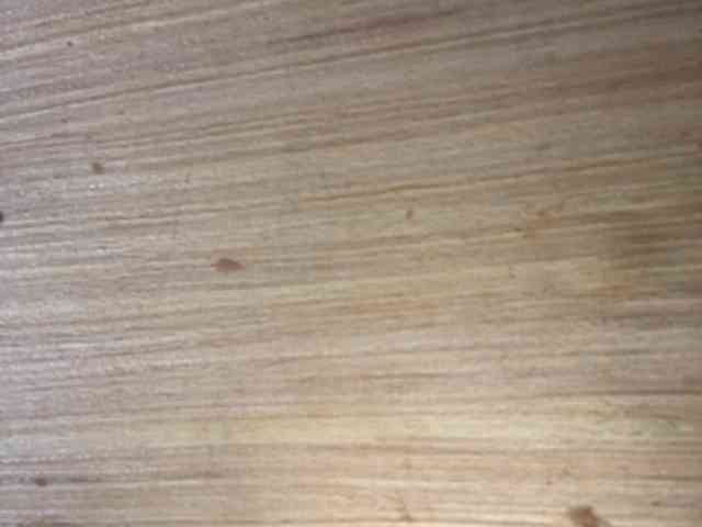 Rainie webcam