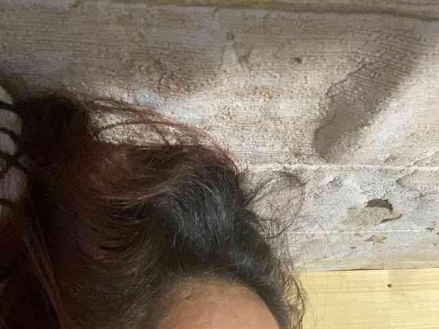 Rainie webcam