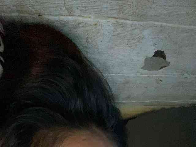 Rainie
