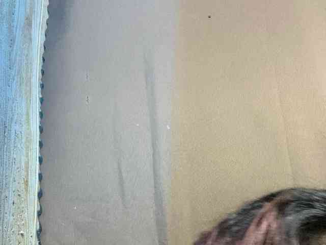 Rainie webcam