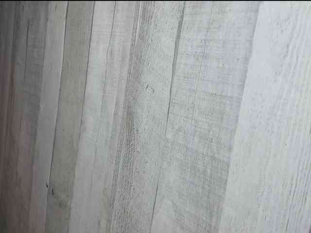 Rainie webcam