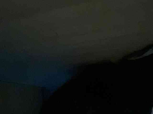 Rainie webcam