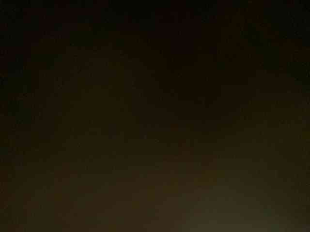 Rainie webcam