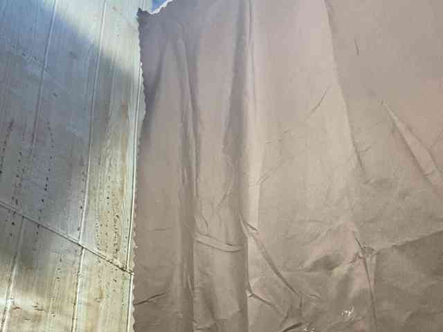 Rainie webcam
