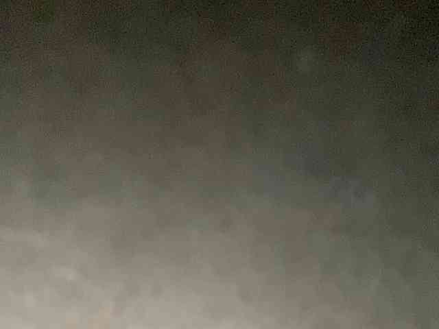 Rainie webcam