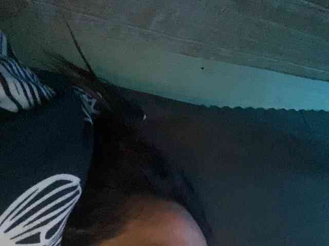 Rainie webcam