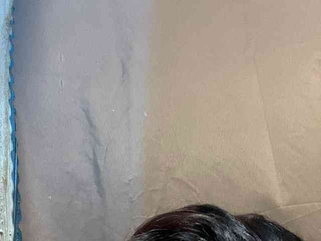 Rainie webcam