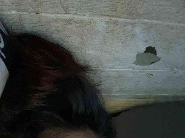 Rainie webcam