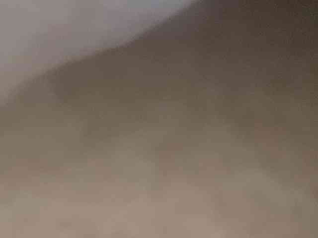 Rainie webcam