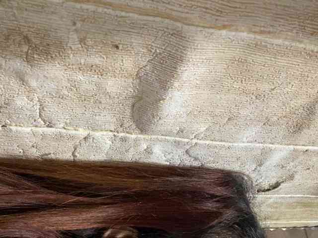 Rainie webcam