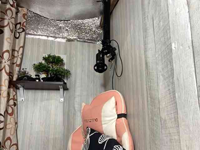 Rainie webcam