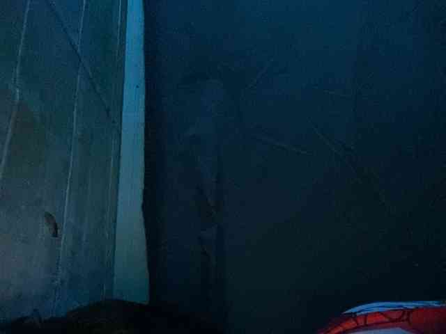 Rainie webcam