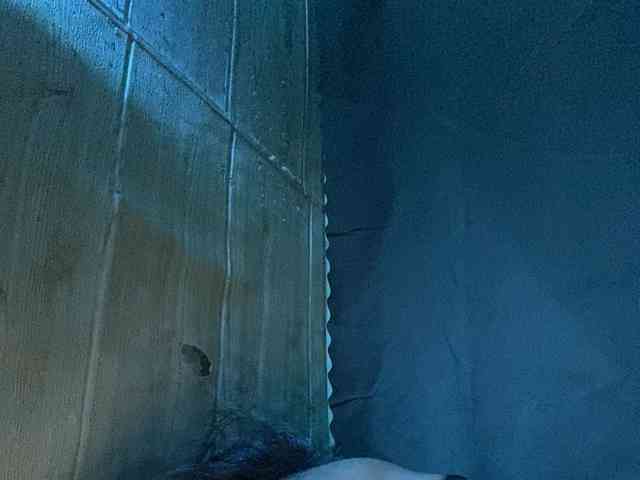 Rainie webcam