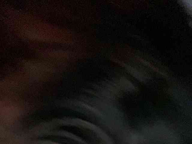 Rainie webcam