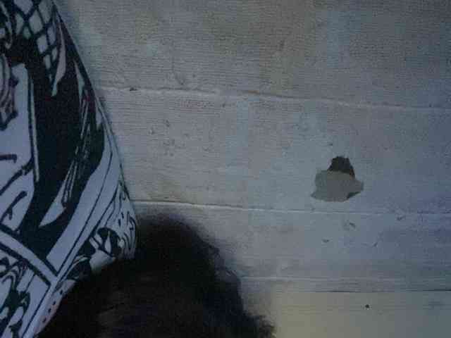 Rainie webcam