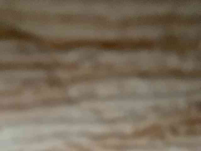 Rainie webcam