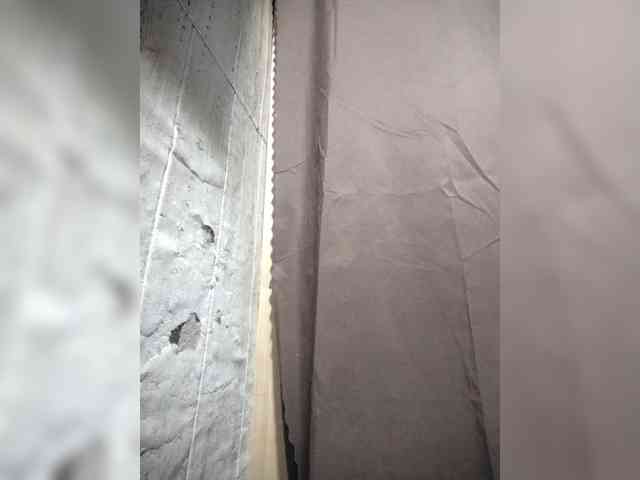 Rainie webcam