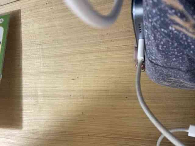 Rainie webcam