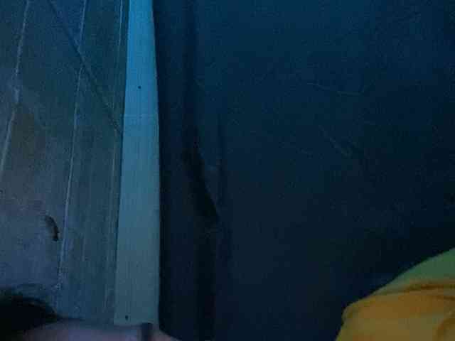 Rainie webcam
